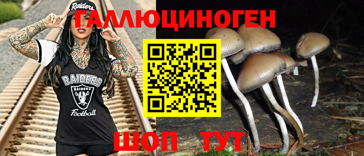 Галлюциногенные грибы прущие грибы  Вход с VPN  Городец 